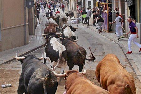 Este municipio de Castellón será plaza de primera en el mundo dels bous al carrer este mes de mayo